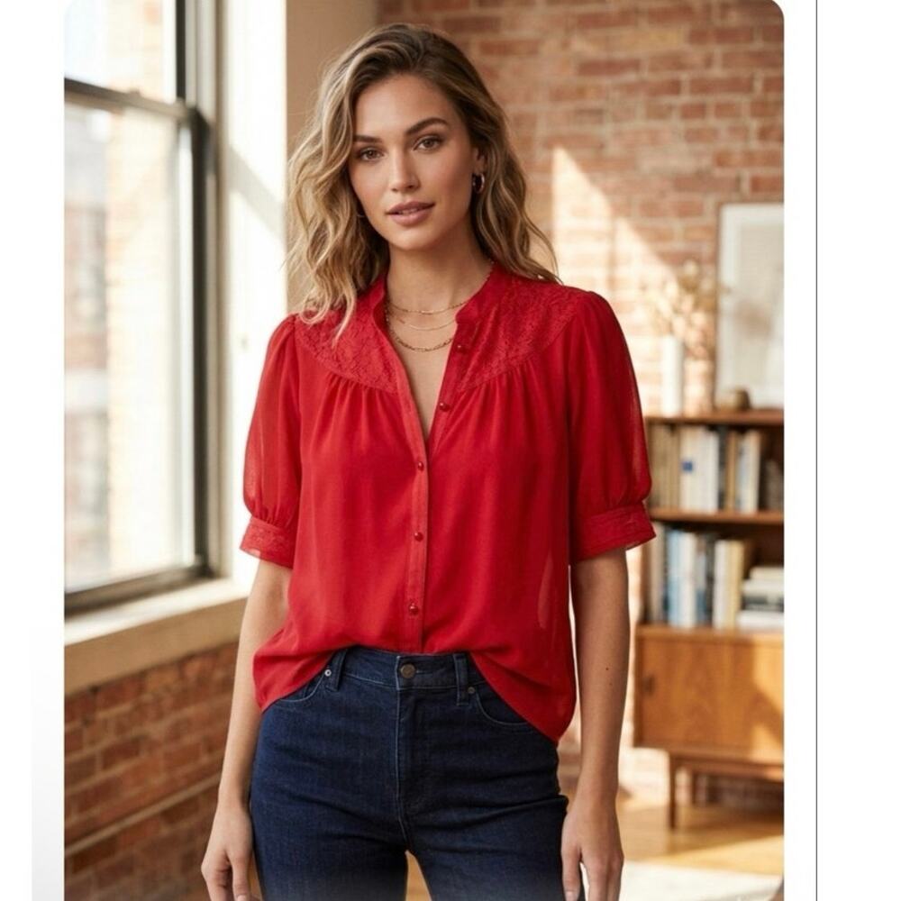 Maeve Anthropologie Red PuffSleeve BlouseSheer ChiffonPaisley Yoke darkacademia
